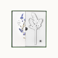 LAVANDA DIFUSOR DE PORCELANA 290ML
